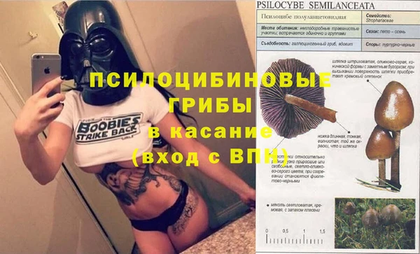 ALPHA PVP Заводоуковск