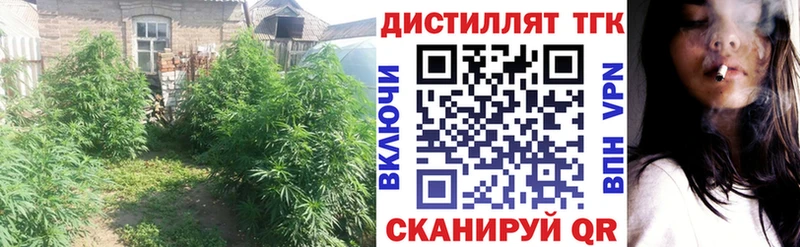 Дистиллят ТГК гашишное масло  наркота  Пятигорск 