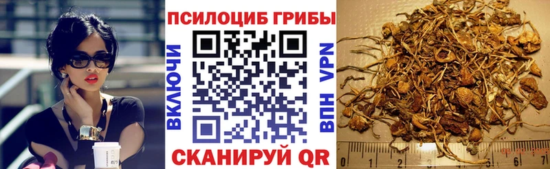 Галлюциногенные грибы прущие грибы  Пятигорск 