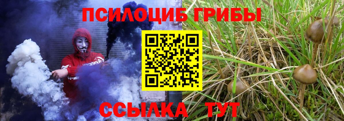 Галлюциногенные грибы мицелий Пятигорск
