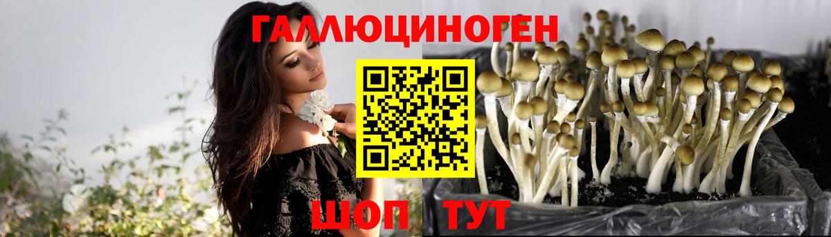 Псилоцибиновые грибы MAGIC MUSHROOMS  Галлюциногенные грибы Psilocybe  Вход с VPN  Пятигорск 