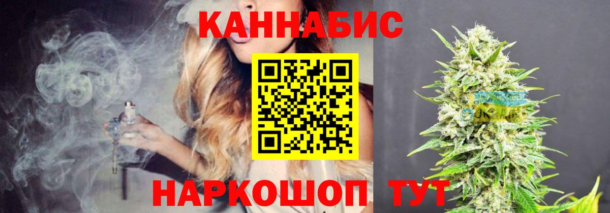 Канабис конопля Пятигорск